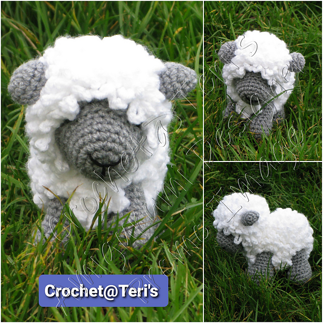 Sheep