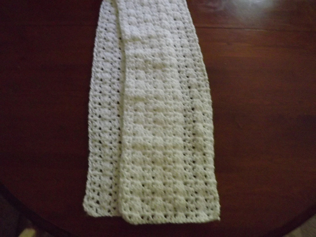Ashley's Winter Scarf