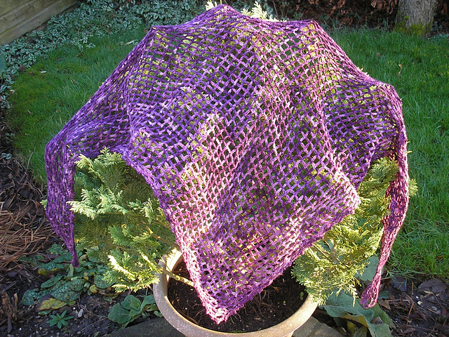 Crocus shawl