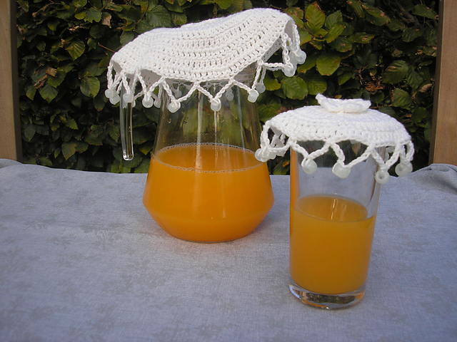 Glass and Jug Covers