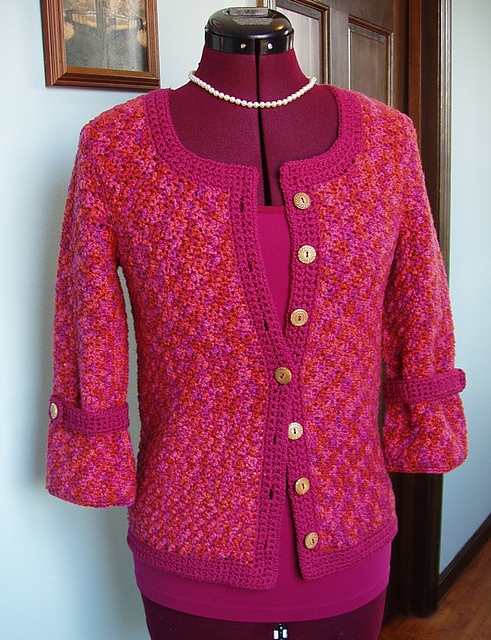 Gladiolus Cardigan