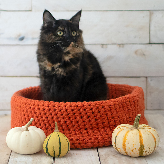 Easy Cat Bed