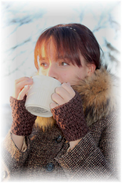 Winter Spice Fingerless Mitts