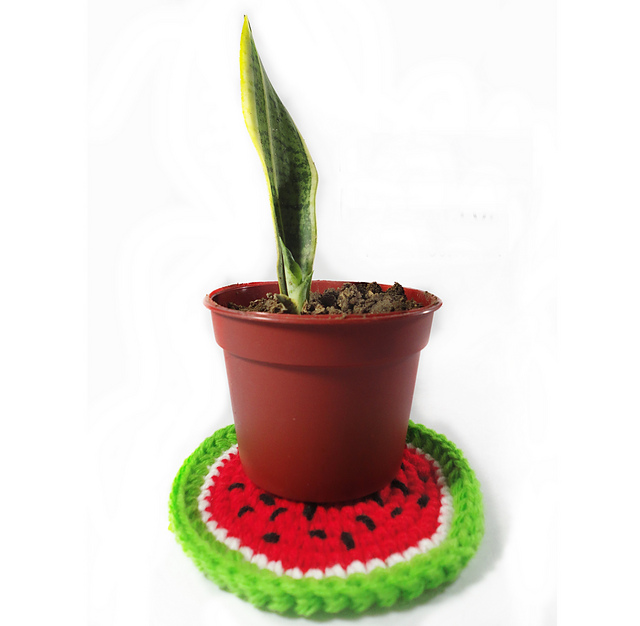 Watermelon Plant Coaster