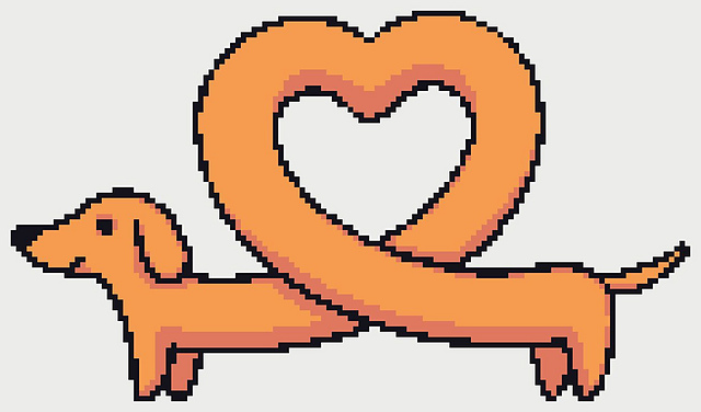 Heart shaped dachshund