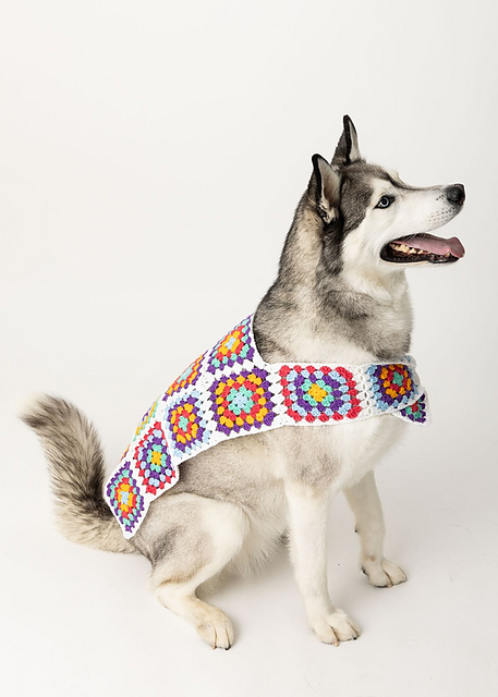 Happy Tails Dog Sweater