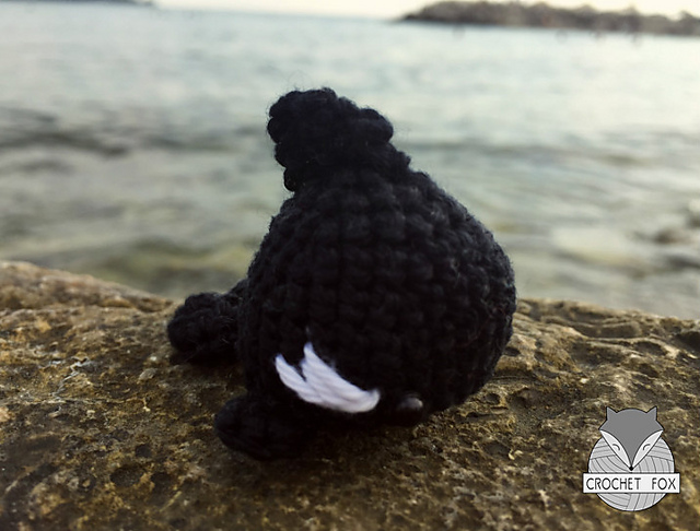 Orca Whale