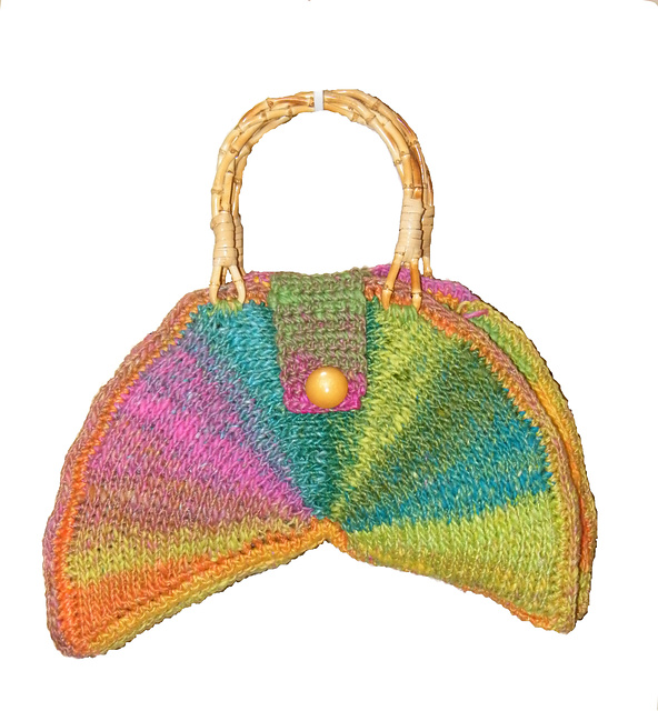 Color Wheel Bag (Tunisian)