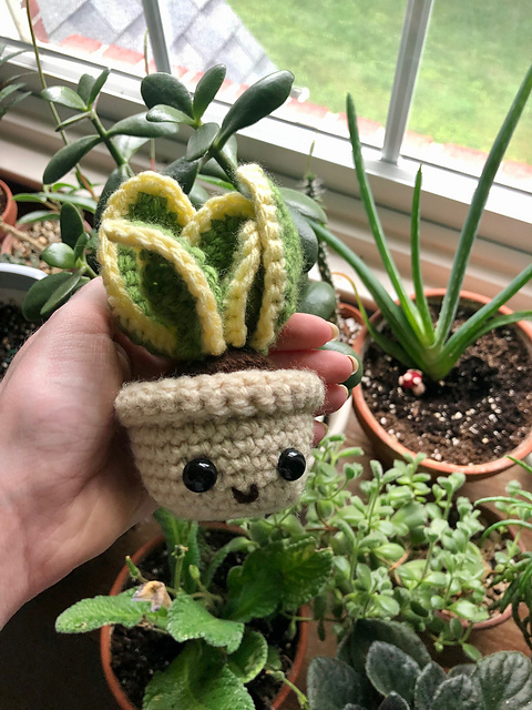 potting medium for succulents C&S SOIL-LESS POTTING MIX FOR SUCCULENTS Best Suited for Cactus and  Succulents – Urban Gardening Mom