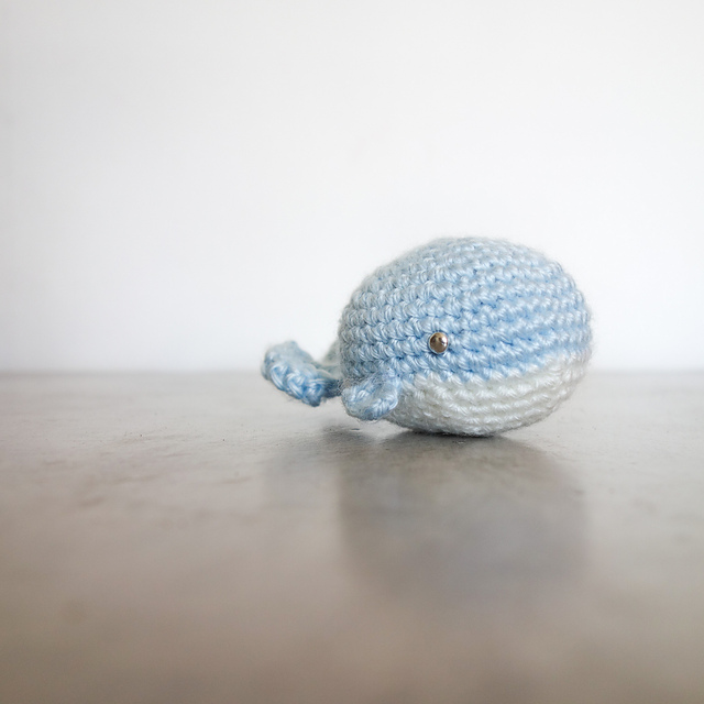 Little whale