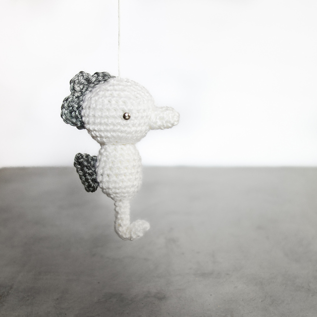 Pretty seahorse