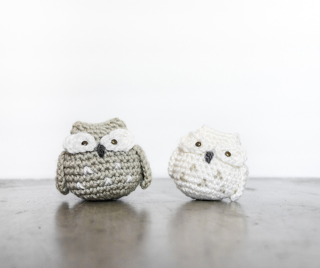The owl buddy