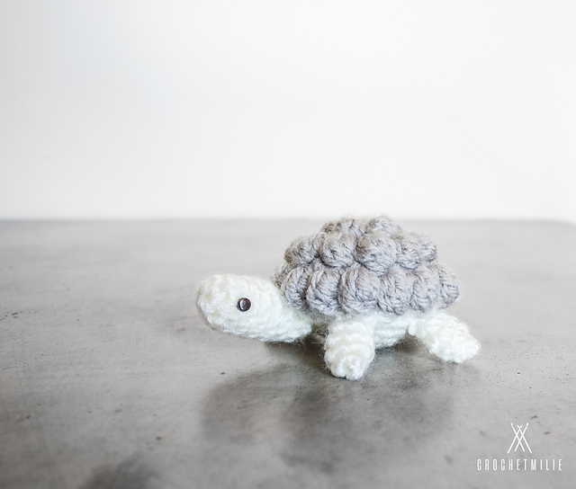 The delicate turtle