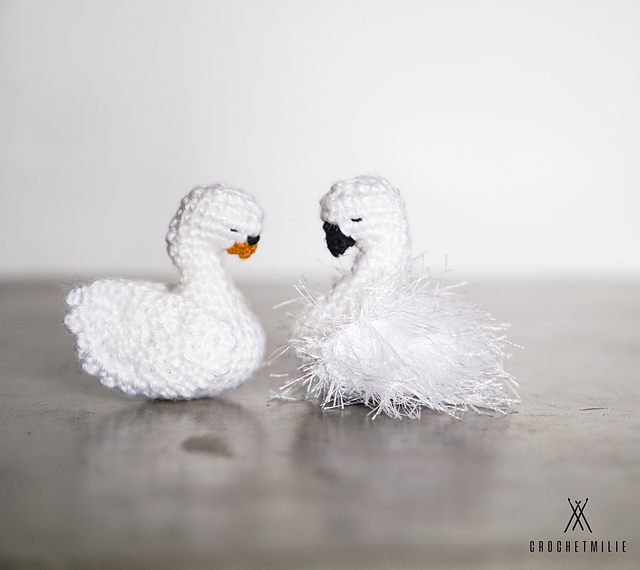 The peaceful swan