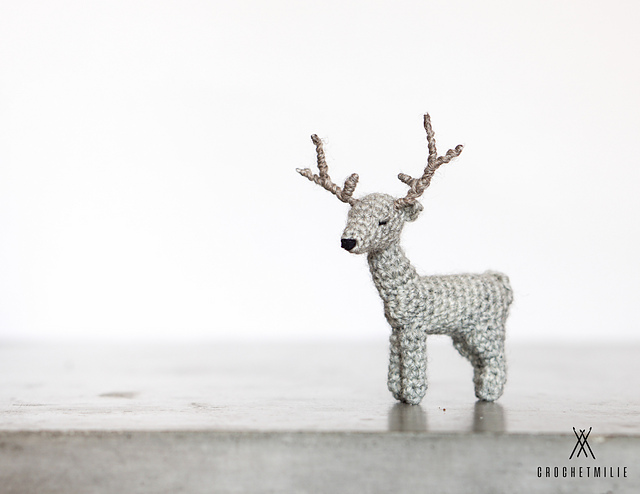 The adorable deer