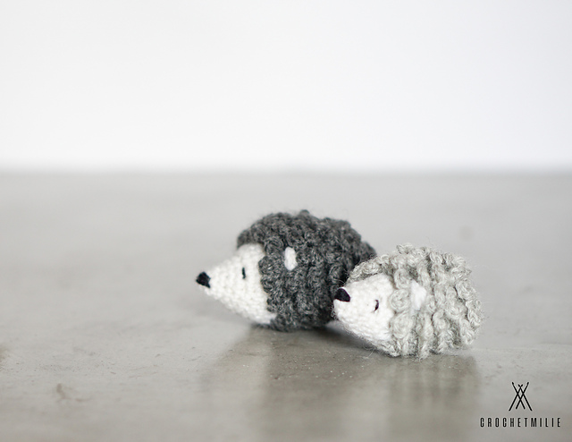 The mini hedgehogs