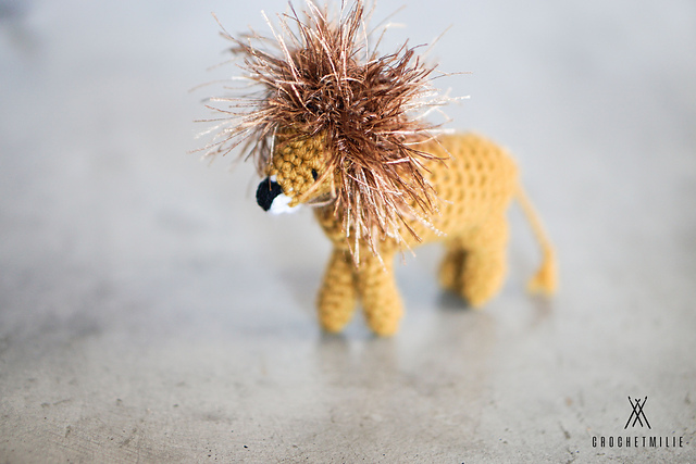 The mini lion