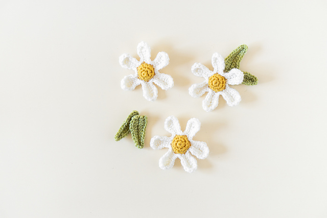 Daisies & Leaves
