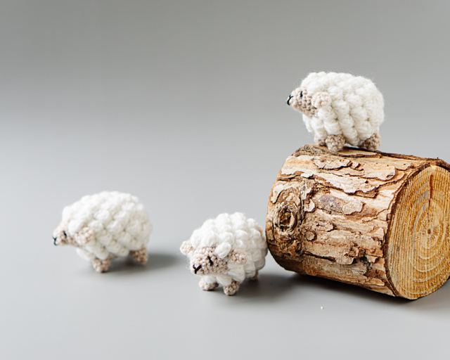 The mini sheep