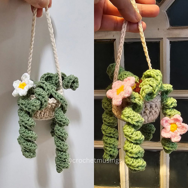 Hanging Plant