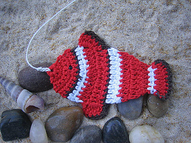 Fish from the Great Barrier Reef