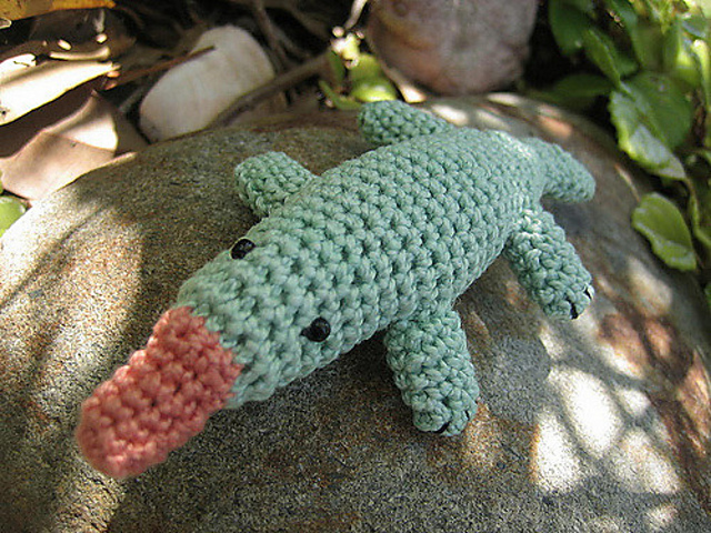 Playful Platypus