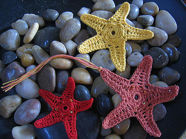 Orange Sea Star