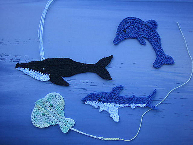 Sea Creatures from the Australian Coast