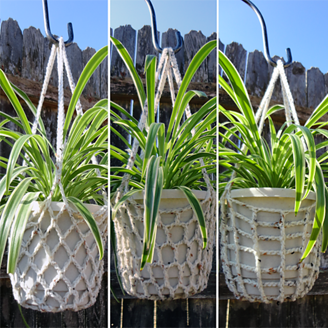 3 Plant Hangers