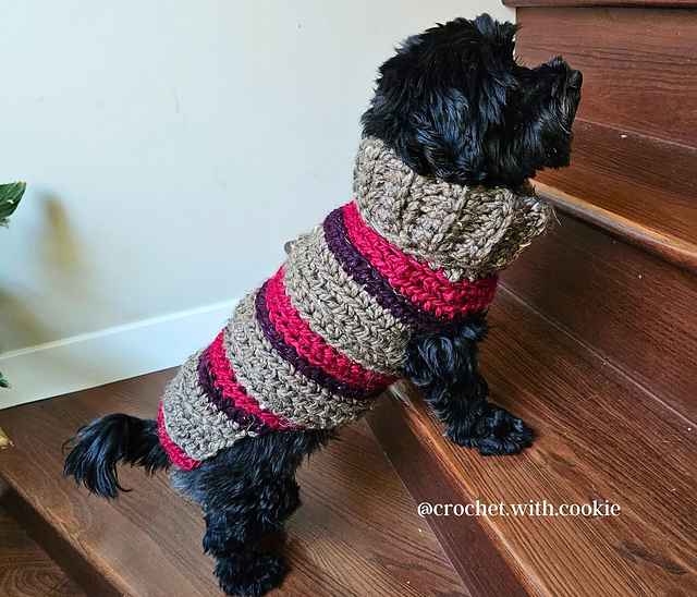 Cookie's Turtleneck Dog Sweater