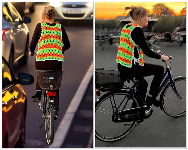SAFETY CAT VEST