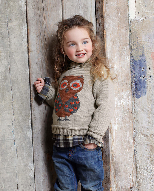 Pull Hibou N°076-T12-083
