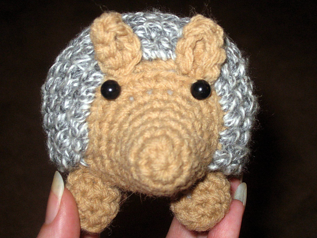 Arty the Armadillo