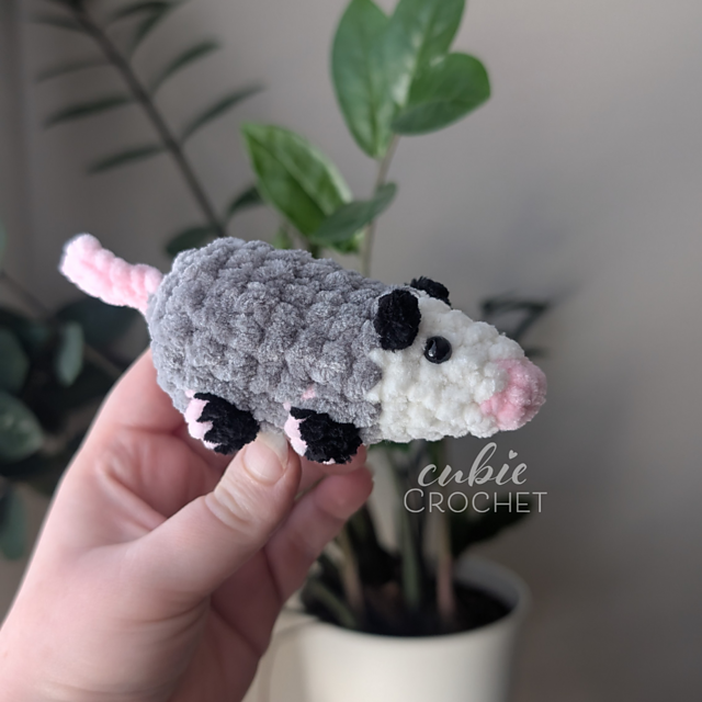 Baby Opossum