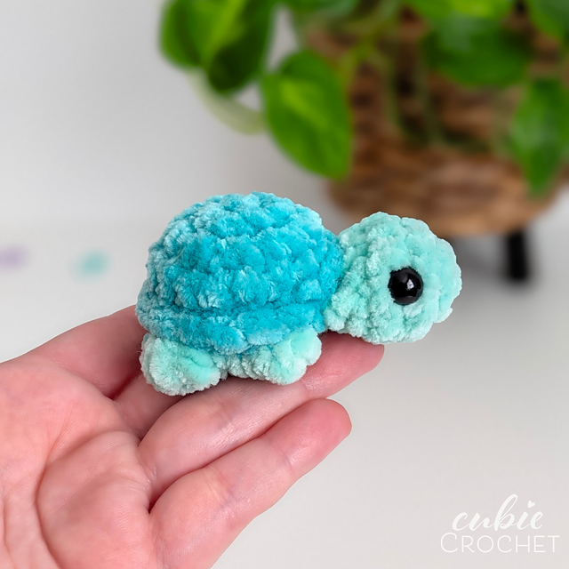 Tiny Turtle