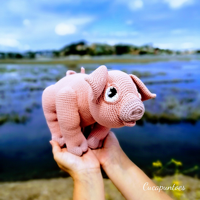Fiona the piggy