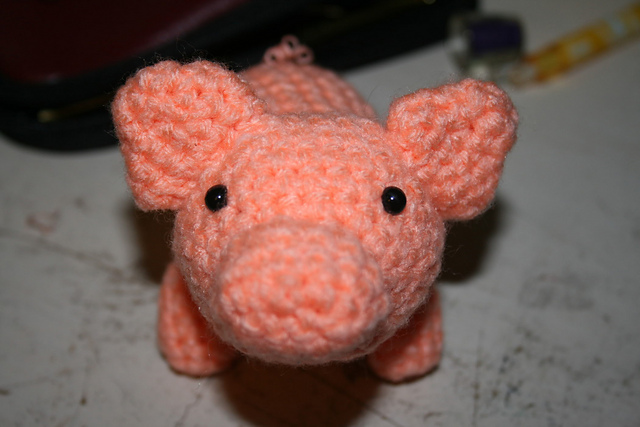 Pig