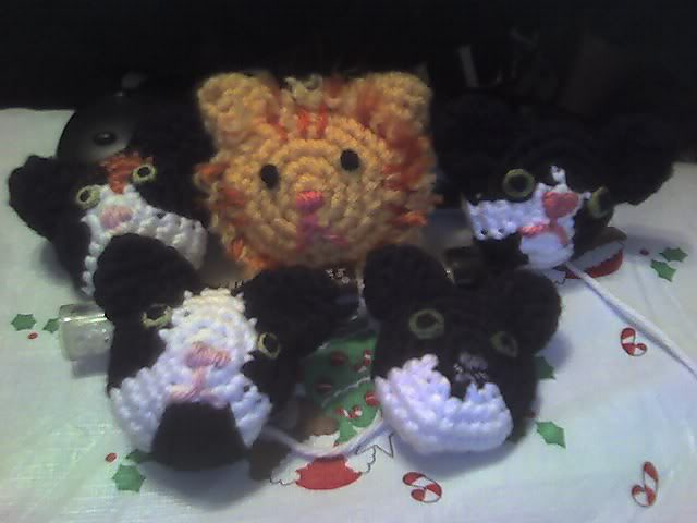Cat magnet