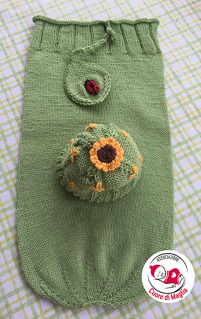 Set Van Gogh