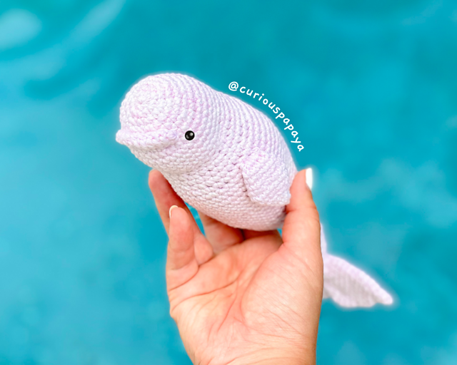 Beluga Whale