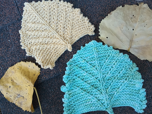 Cottonwood Leaf
