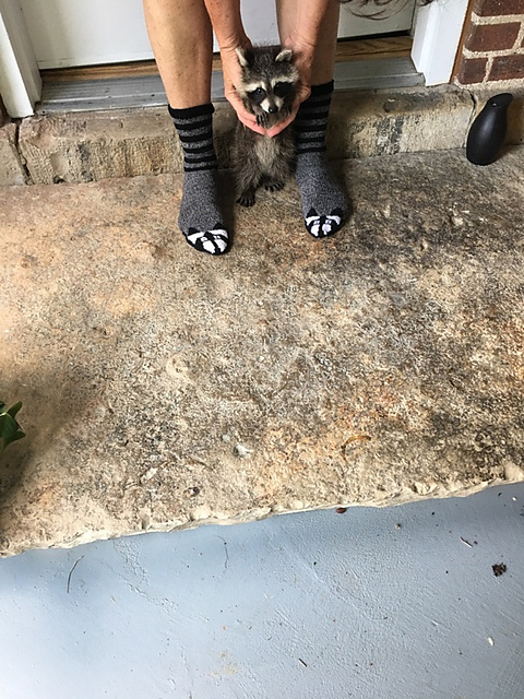 Woodland Critters Friendship Socks