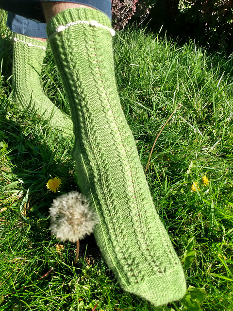 Dandi-Fluff socks