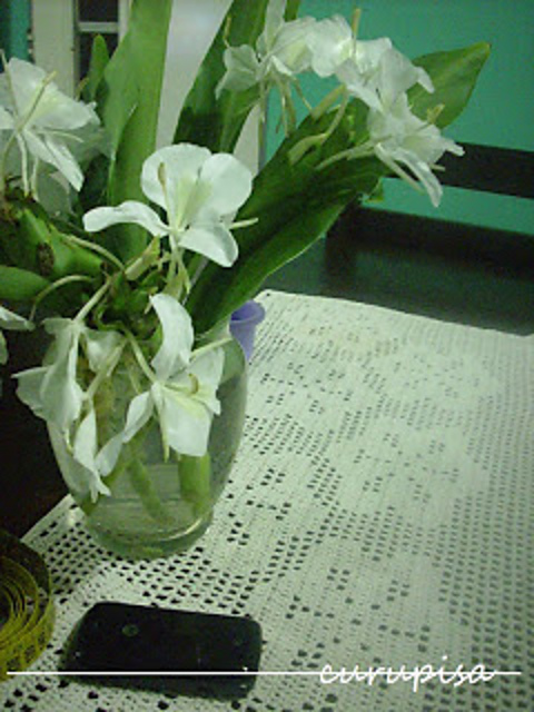 Six petal flower filet chart
