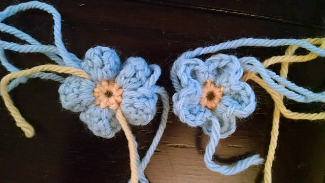 Forget Me Not Flowers