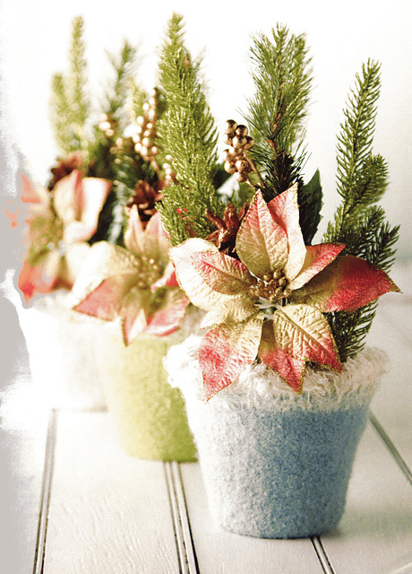 Felted Pot Cozies