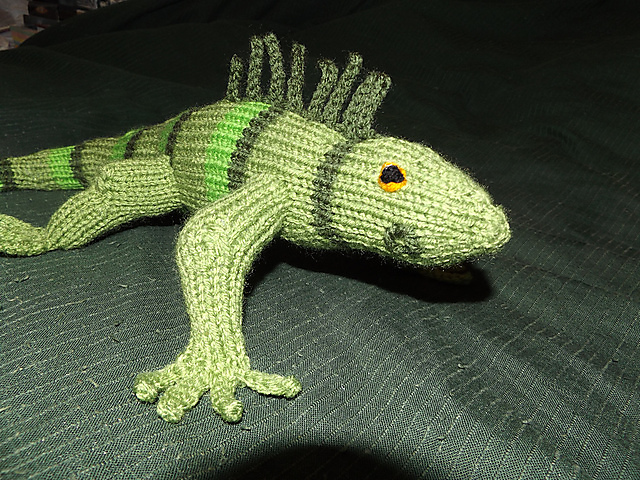 Iguana