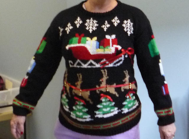 Reindeer & Sleigh Tunic