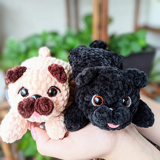 Fido the pug
