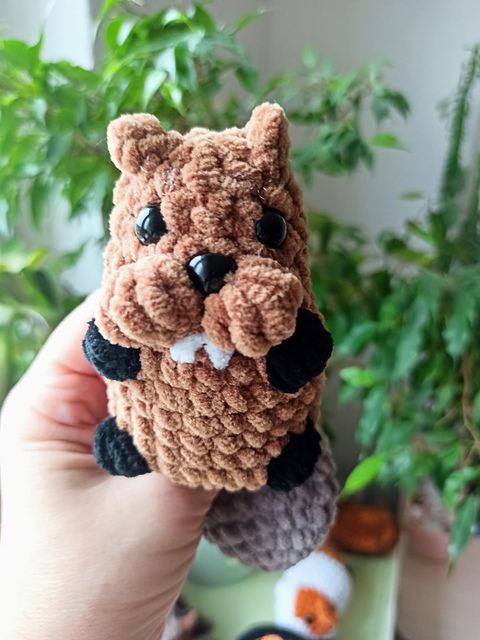 Beaver Ben